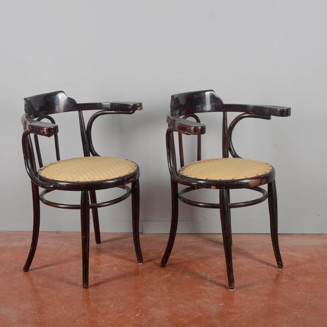 1920s Antique Wooden Armchairs, Early 1900s, Set of 2 For Sale - Image 5 of 9