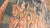 Traditional Late 16th Century Flemish Historical Tapestry For Sale - Image 3 of 16