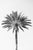 Contemporary Minimalist Black and White 'Palm Tree' Art Print, Large 40 X 60" Fine Art Photography Print, Tropical Coastal Artwork For Sale