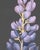 "Lupine" Purple Wildflower Flower Painting by Allison Cosmos For Sale