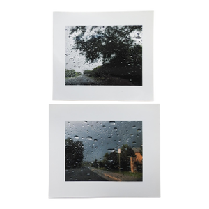 Late 20th Century Raindrops Photograph - A Pair