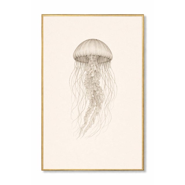 Coastal Sea Life Study Collection, Minimal Botanical & Shell Art Prints, 24" × 36" (Set of 4) For Sale In Buffalo - Image 6 of 12