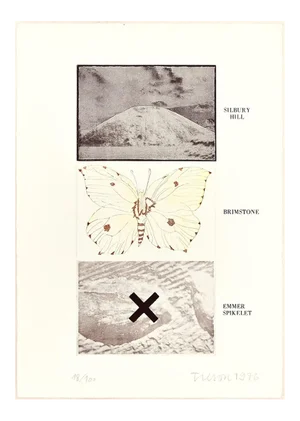 Silbury Hill, Brimstone, Emmer Spikelet - Original Erching by Joe Tilson - 1976 1976