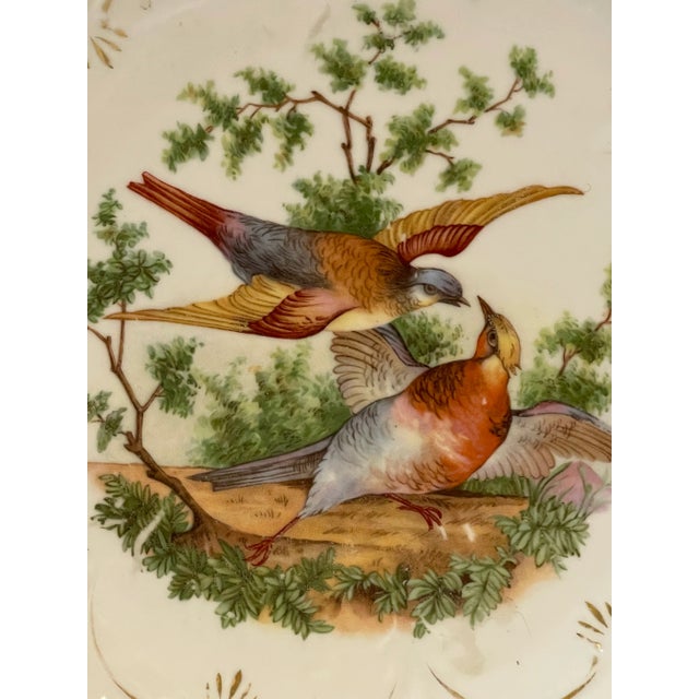Late 19th Century Antique 19th Century Hand-Painted Bird Plates- a Pair For Sale - Image 5 of 6