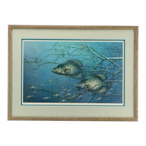 1980s Vintage Fishing Wall Art Jon Q. Wright "Tangled Cover Crappie" Signed/Numbered, Framed