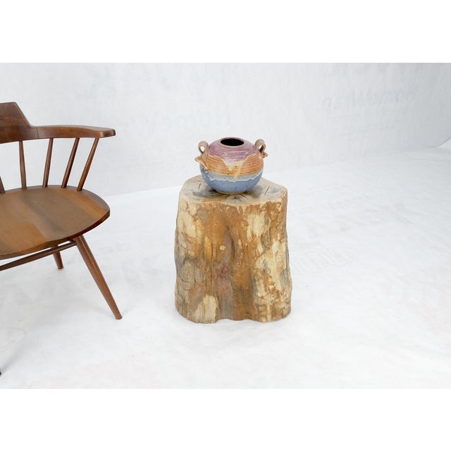 Wood Petrified Wood Organic Shape Multicolor Beige to Black Stand End Table Pedestal For Sale - Image 7 of 10