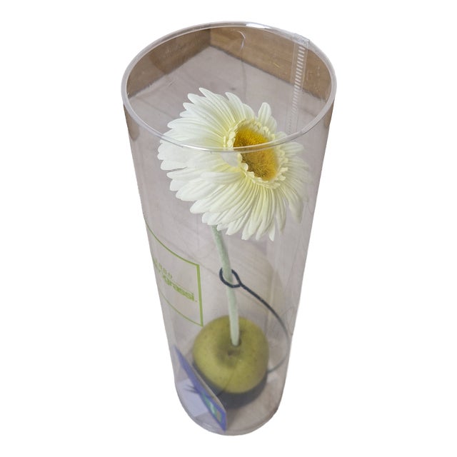 Eva Mono Fiore Flower Vase by Claudia Hamers for Oggetti Latini, 1990s For Sale