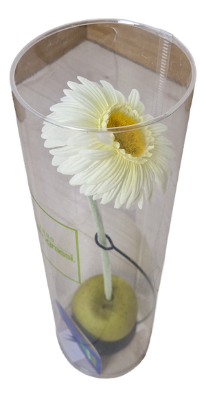Eva Mono Fiore Flower Vase by Claudia Hamers for Oggetti Latini, 1990s
