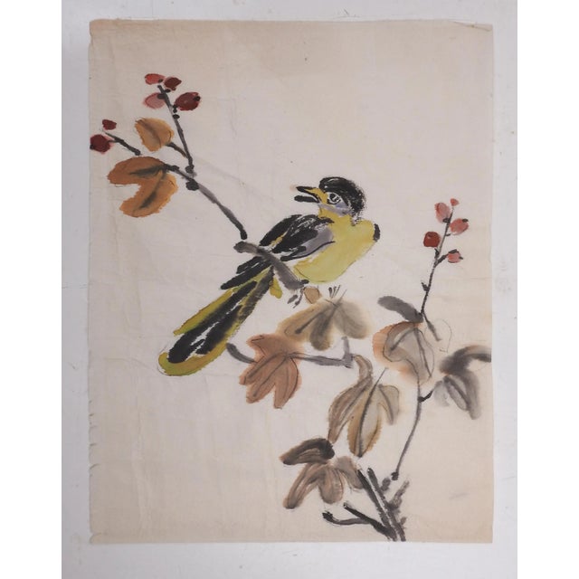 Vintage mid 20th century watercolor on thin paper painting of a yellow and black bird on a tree limb with berries....