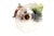 Fruit Bowl Centerpiece in Cut Glass For Sale - Image 5 of 8