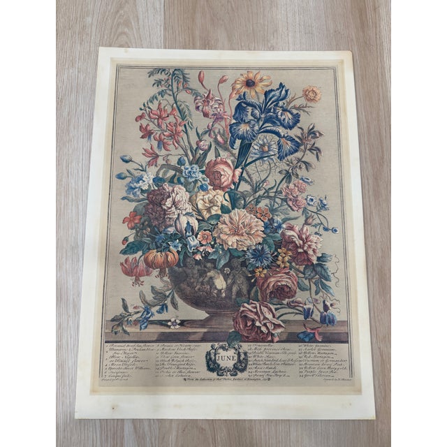 Botanical antique print representing "June" from the celebrated series Twelve Months of Flowers, originally published in...