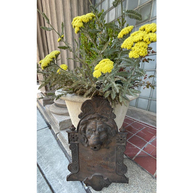 Early 20th Century Cast Iron Lion Architectural Fountain Back For Sale - Image 9 of 17