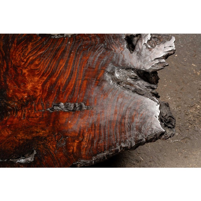 Brown Mid 20th Century Live-Edge Burlwood Root Coffee Table For Sale - Image 8 of 9