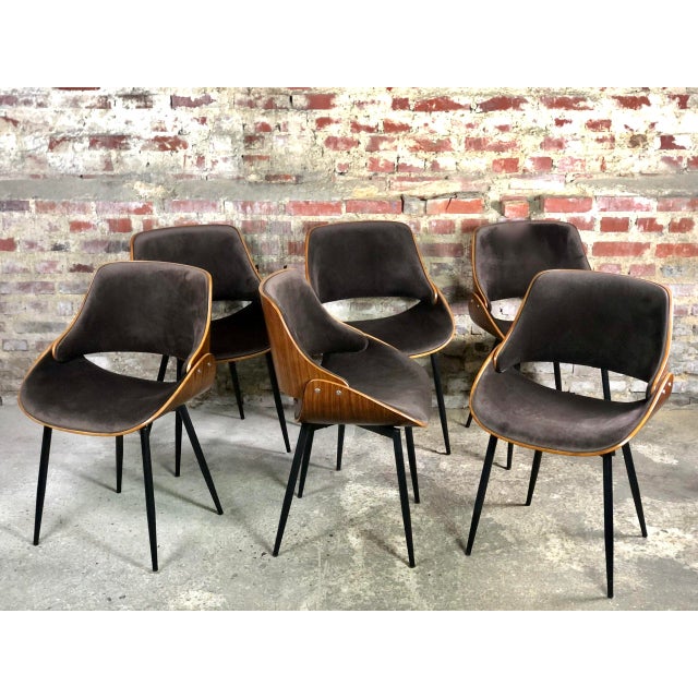 Scandinavian Chairs in Wood and Velvet, 2000s, Set of 6 For Sale - Image 12 of 12