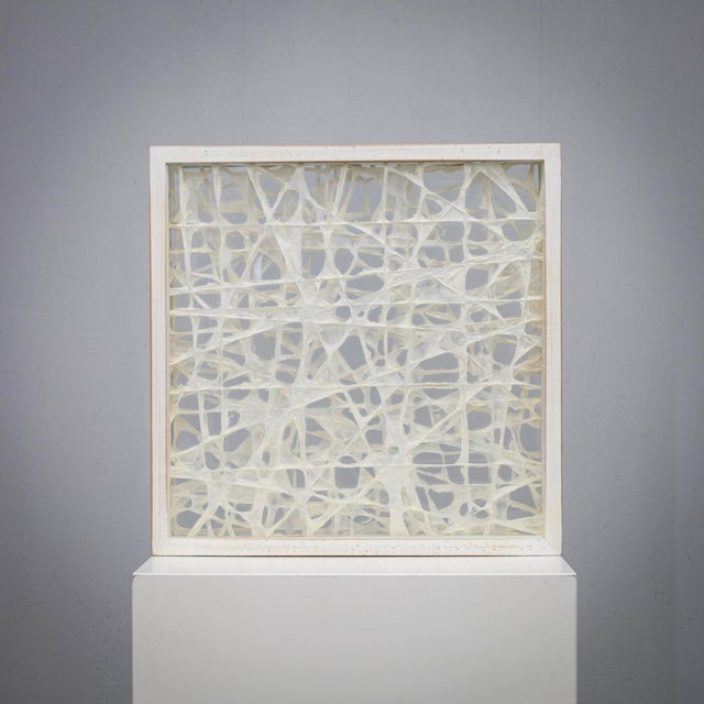 Organic Fiber Art Composition in Glass Shadow Box Frame, 1990s For Sale - Image 4 of 7