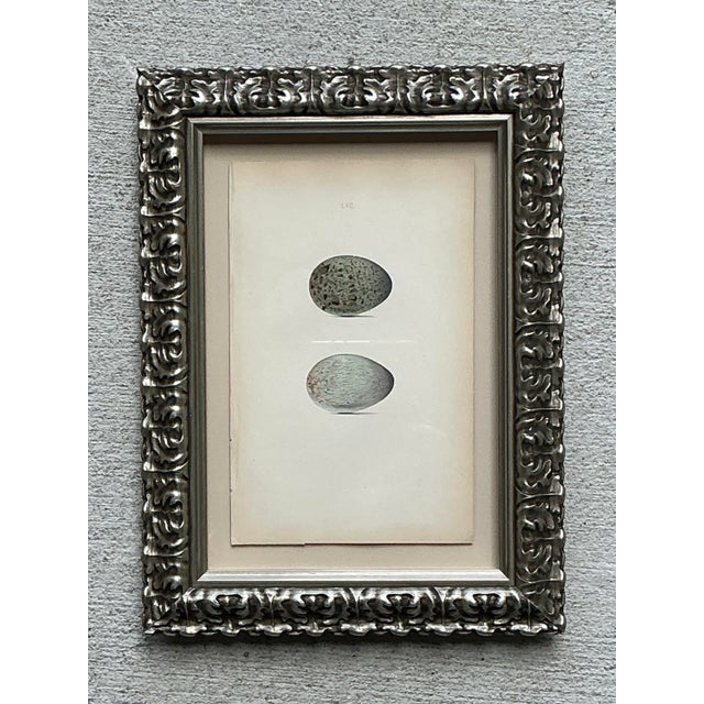 Vintage Original Book Plate of an Egg For Sale - Image 9 of 12