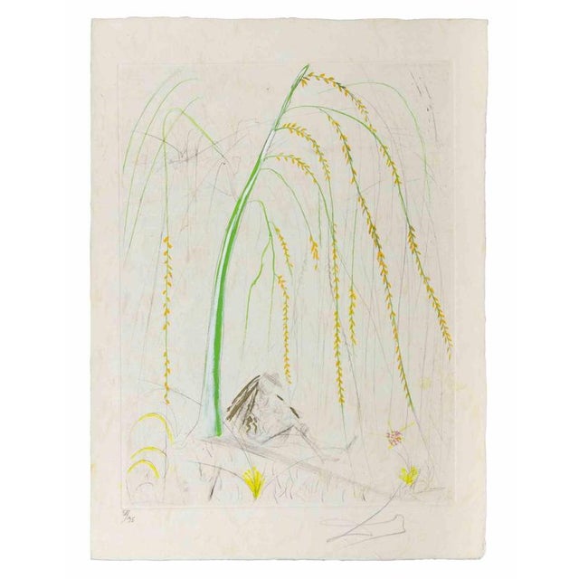 Etching and drypoint realized in 1968. Table from the Series "Les Amours de Cassandre", published by Argillet, Paris....