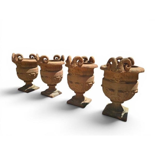 Impruneta Terracotta Urns with Faun Heads and Acanthus Leaves, Italy, 1950, Set of 4 For Sale - Image 4 of 9