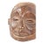 Early 20th Century Suku Wood Helmet Mask For Sale