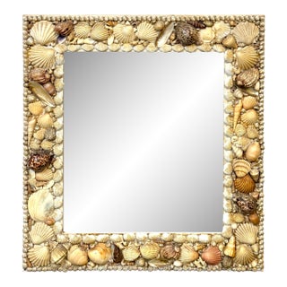 1960s Coastal Bohemian Specimen Shell Encrusted Mirror with Tiger Cowries For Sale