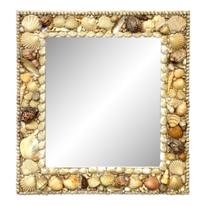 1960s Coastal Bohemian Specimen Shell Encrusted Mirror with Tiger Cowries
