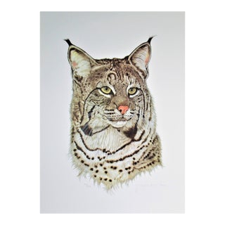 Jacquie Marie Vaux Wildcat C. 1990 Reproduction Print For Sale