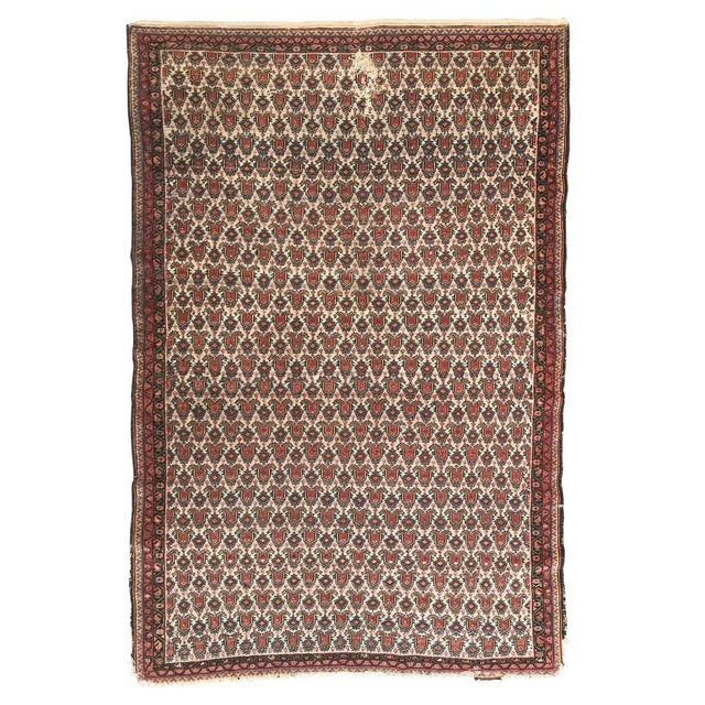Antique Kurdish Rug, 1890s For Sale - Image 14 of 14