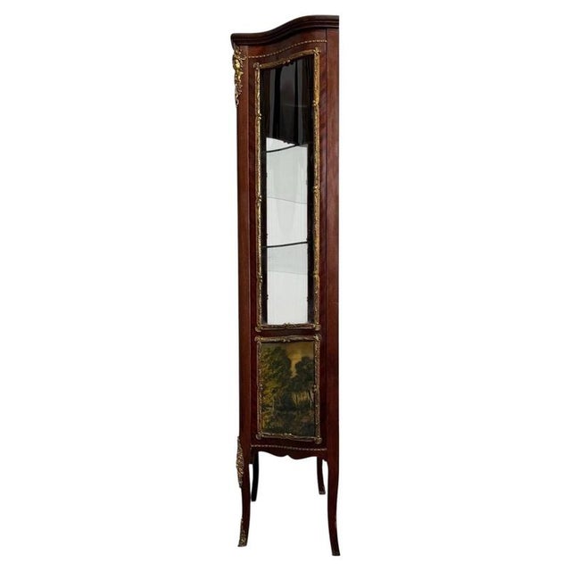 Antique Early 20th Century French Painted Mahogany Display Cabinet For Sale - Image 11 of 13