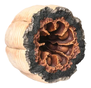Late 20th Century Space Age Pod Geode Ceramic Sculpture by Michael Mick