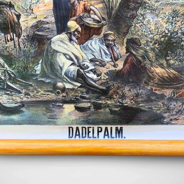 A beautiful old wall chart of a scene with date palms. This lithograph has very nice colors and the text is in Dutch. Due...