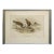 John Gould Turnstone "Strepsilas Interpres" Naturalistic Lithograph Circa 1840-1869 For Sale