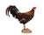Textile Life-Size Gamecock Taxidermy Mount Brilliant Red Orange Plumage Sand Mount Rooster For Sale - Image 7 of 17