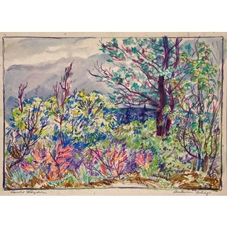 1930s Watercolor and Color Pencil on Paper of Autumn Foliage by Artist Harold Haydon For Sale