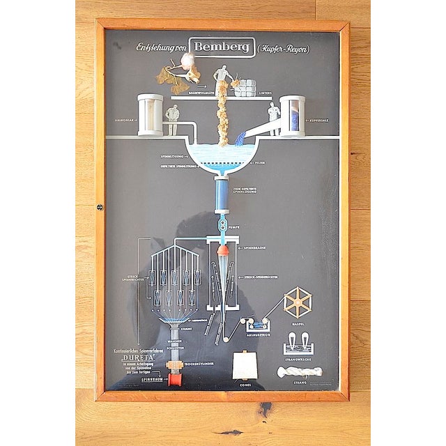 Industrial Showcase from Bemberg Textil, 1950 For Sale - Image 14 of 14