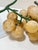 Vintage Yellow Alabaster Grape Clusters – Set of 2 For Sale In Louisville - Image 6 of 6