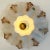 Flower Shell White Sand Ceramic Wall Light from Hustadt Keramik, Germany, 1970s For Sale - Image 11 of 13