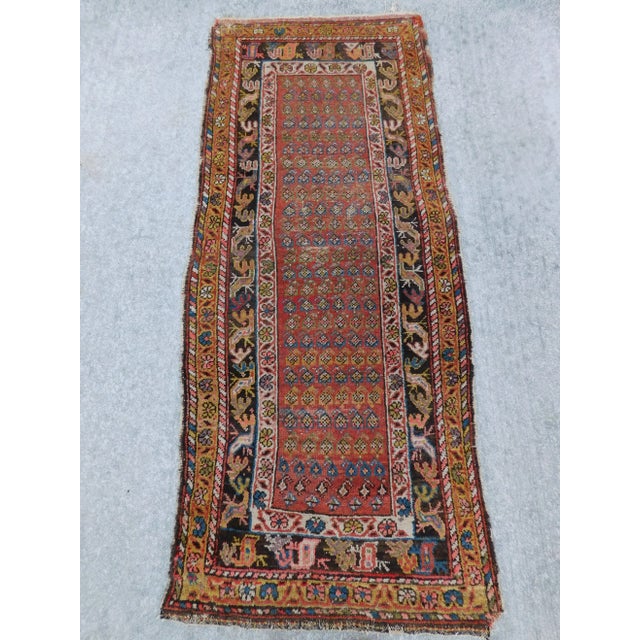 Rusty red field decorated with rows of intricate paisly motif. Tri part multi color border. 100% natural wool pile on...