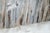 Wood Antique Oak Door in Wrought Iron from Befos, 1800 For Sale - Image 7 of 17