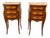 Louis XV Bedside Tables with Floral Marquetry, 1890s, Set of 2 For Sale