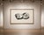 Two Opened Oysters, Vintage Natural History Shell Study, 48" X 32" For Sale - Image 10 of 12