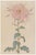 Pink Floral Giclee, Vintage Japanese Botanical Art Print, 20" X 30" For Sale