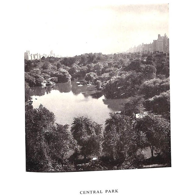 "Portrait of New York" 1948 Beaton, Cecil For Sale - Image 12 of 12