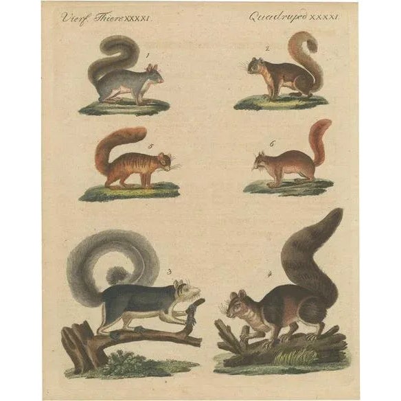 Vierf, 1800, Engraving on Paper For Sale - Image 10 of 10