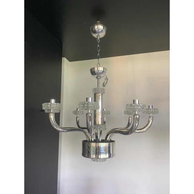 Contemporary Chandelier in Murano Glass With "Rostrato" Cup For Sale - Image 13 of 13