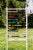 Black Mid-Century Standing School Abacus, Italy, 1930s For Sale - Image 8 of 14