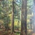 1930’s original modernist forest landscape painting. Titled, dated and framed. Painting measures 20x24 and overall in...