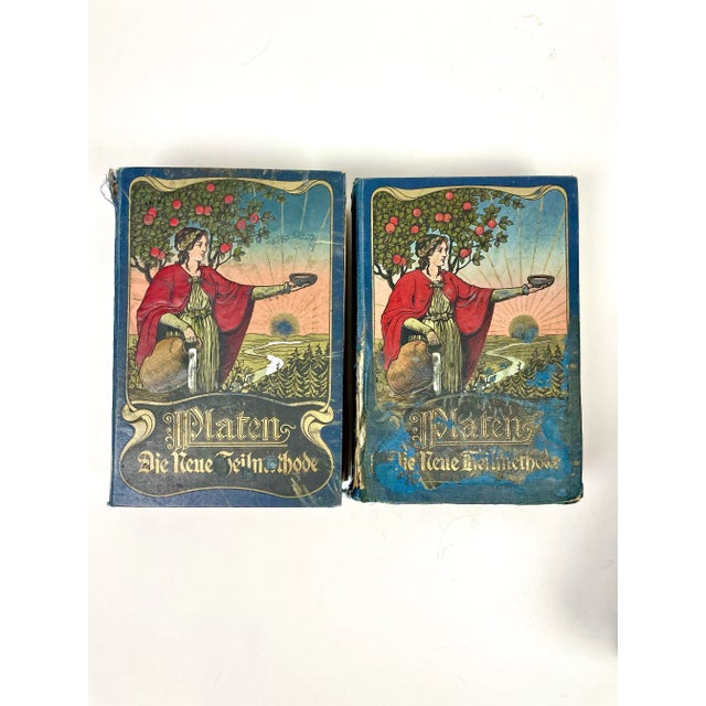 Antique German Decorative Books- a Set of 5 For Sale - Image 4 of 4