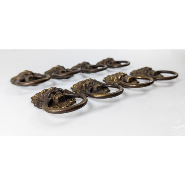 Early 20th Century Set of 8 Lion Head Form Drawer Handle Pulls For Sale In New York - Image 6 of 13
