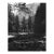 1960s Don Ware Yosemite National Park Black and White Photograph For Sale