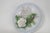 Main Aisle 3d White Persian Cat and Roses 1990 Decorative Collectors Plate 4837b For Sale In Miami - Image 6 of 15